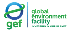 Global environment facility
